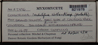 Image Associated With the Occurence